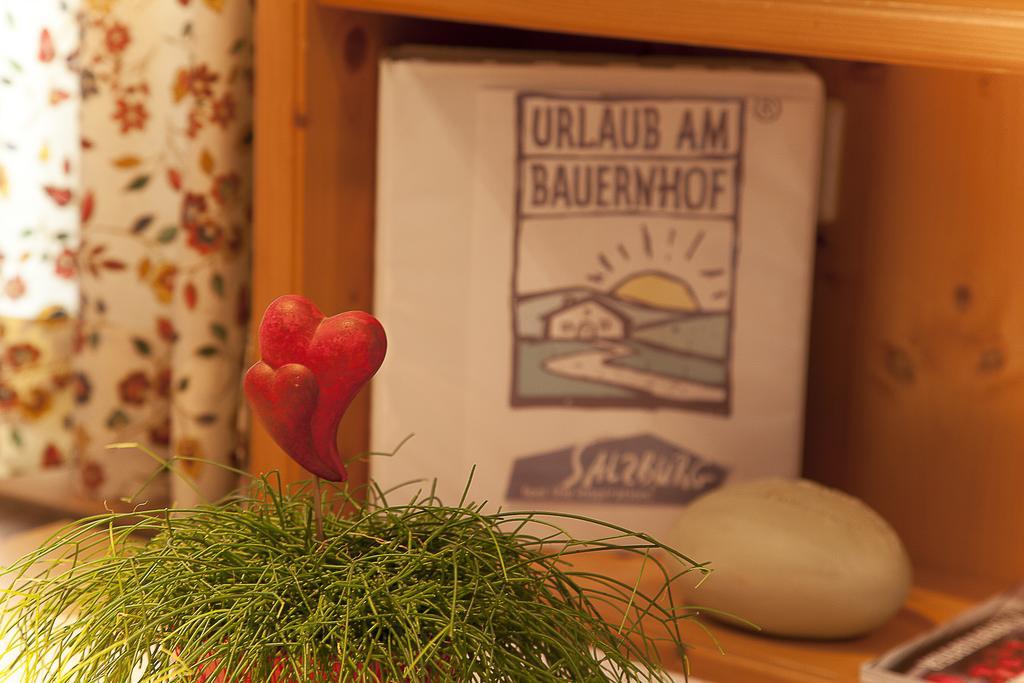 Bauernhofurlaub Sinnhubgut Altenmarkt im Pongau Quarto foto